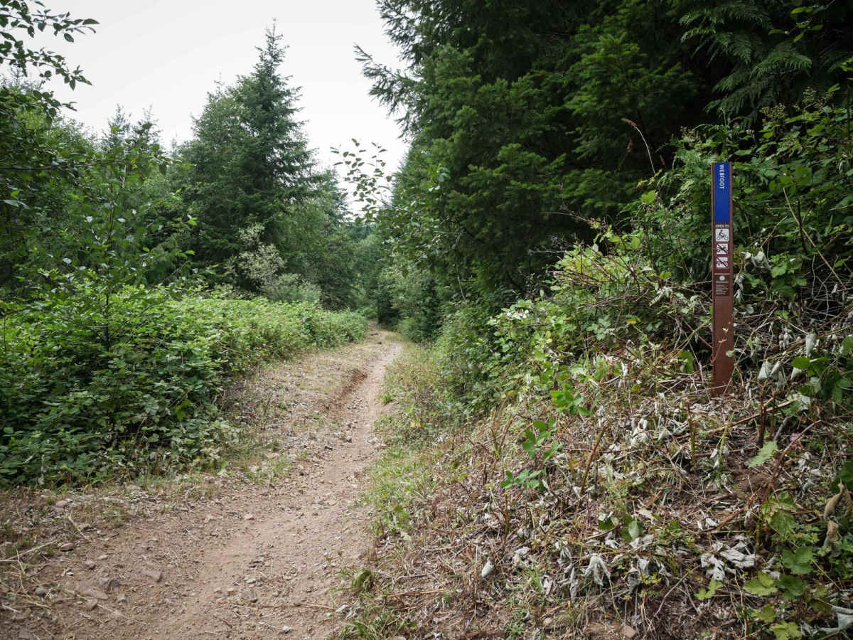 Webfoot trail photo