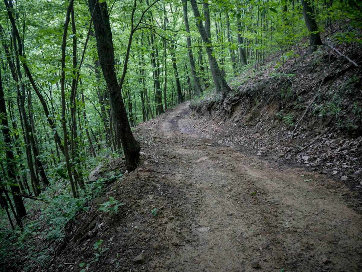 B24 trail photo