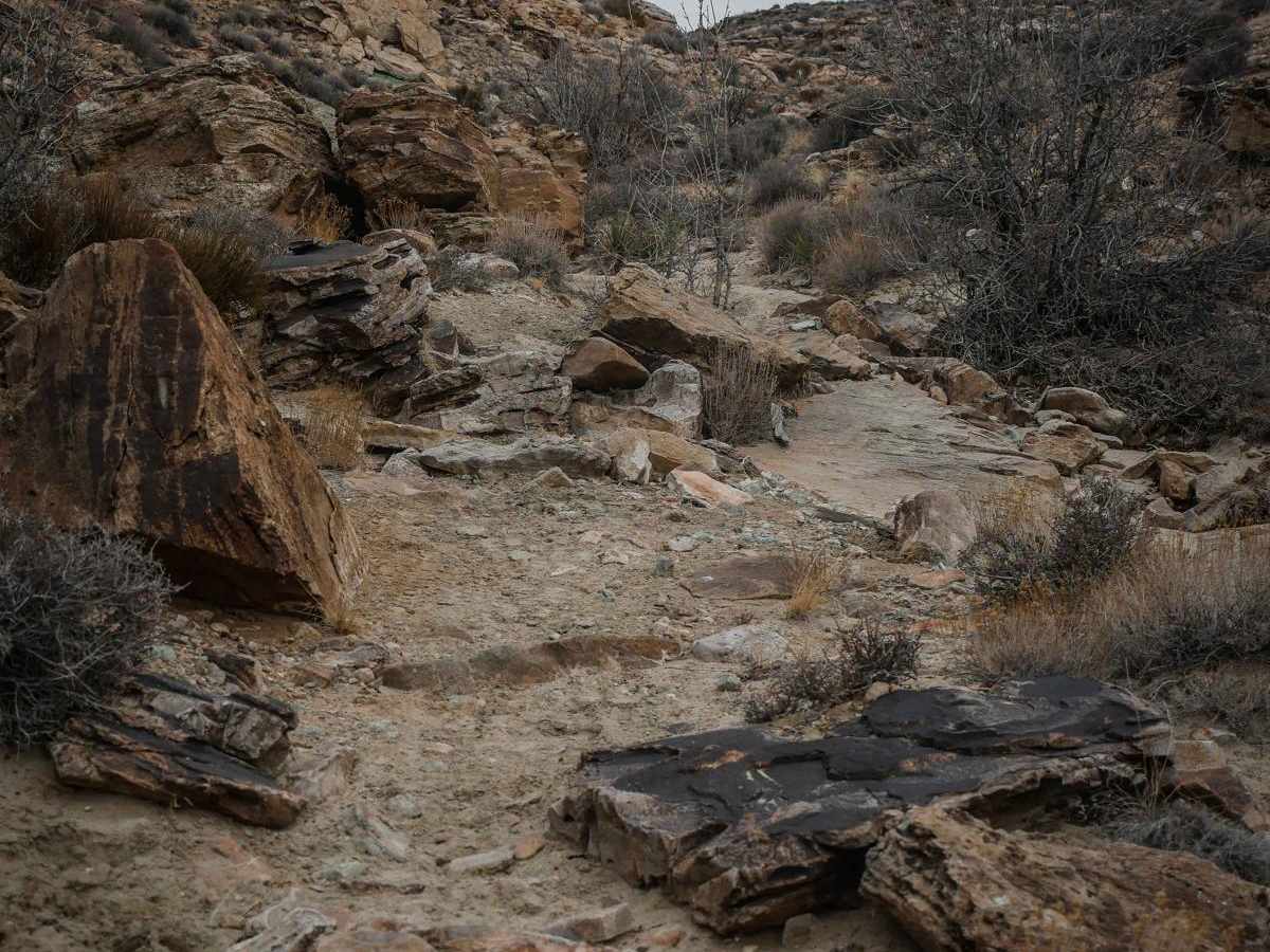 Cedar Mountain Canyon trail photo