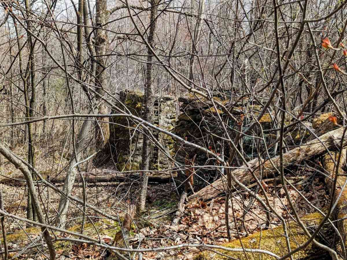 Brown Road photo 6