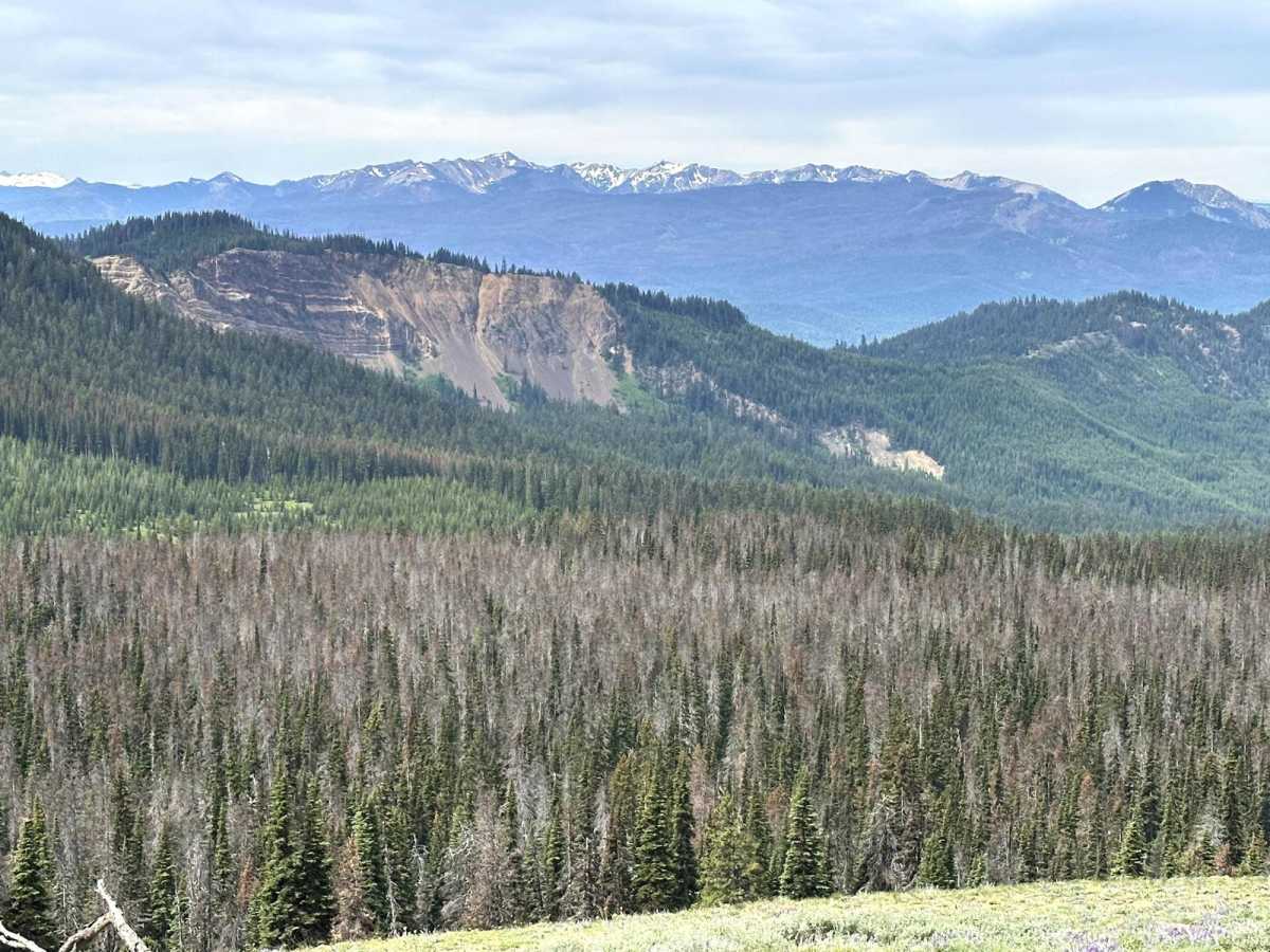 Milk Creek 4WD Trail photo 4