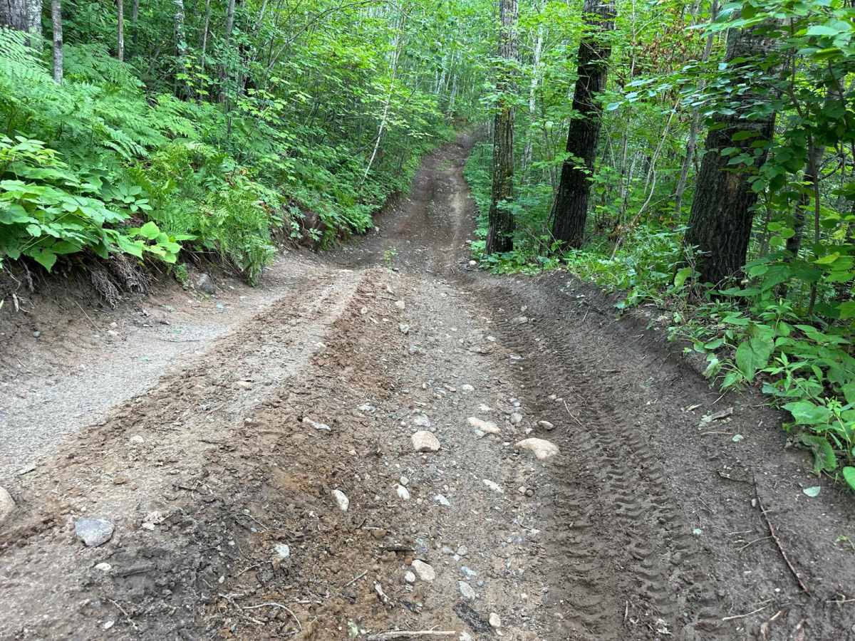 Leprechaun Lane photo 6