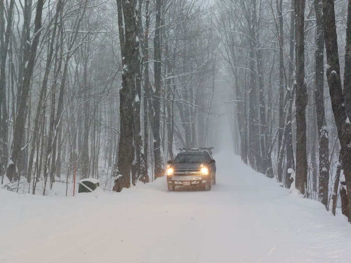 Covered Drive photo 2