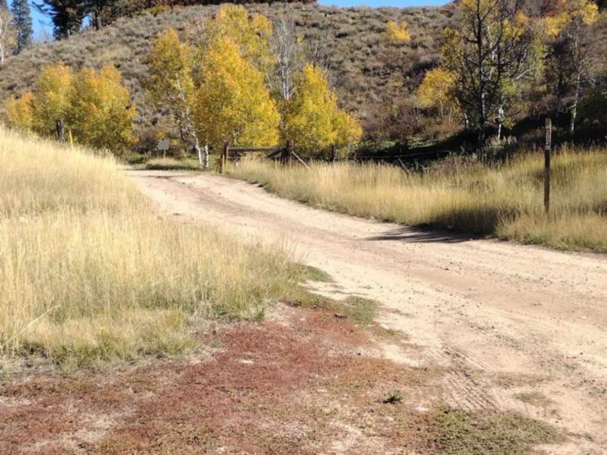 FS 80202 - Cedar Hollow trail photo