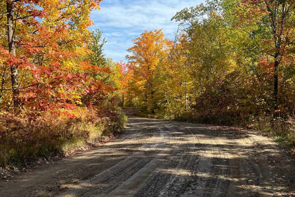 Paul Bunyan Round River Dr. Forest Road