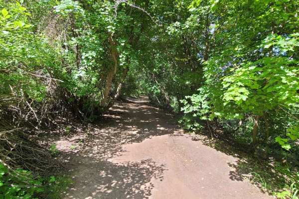 Maple to Sugar Creek