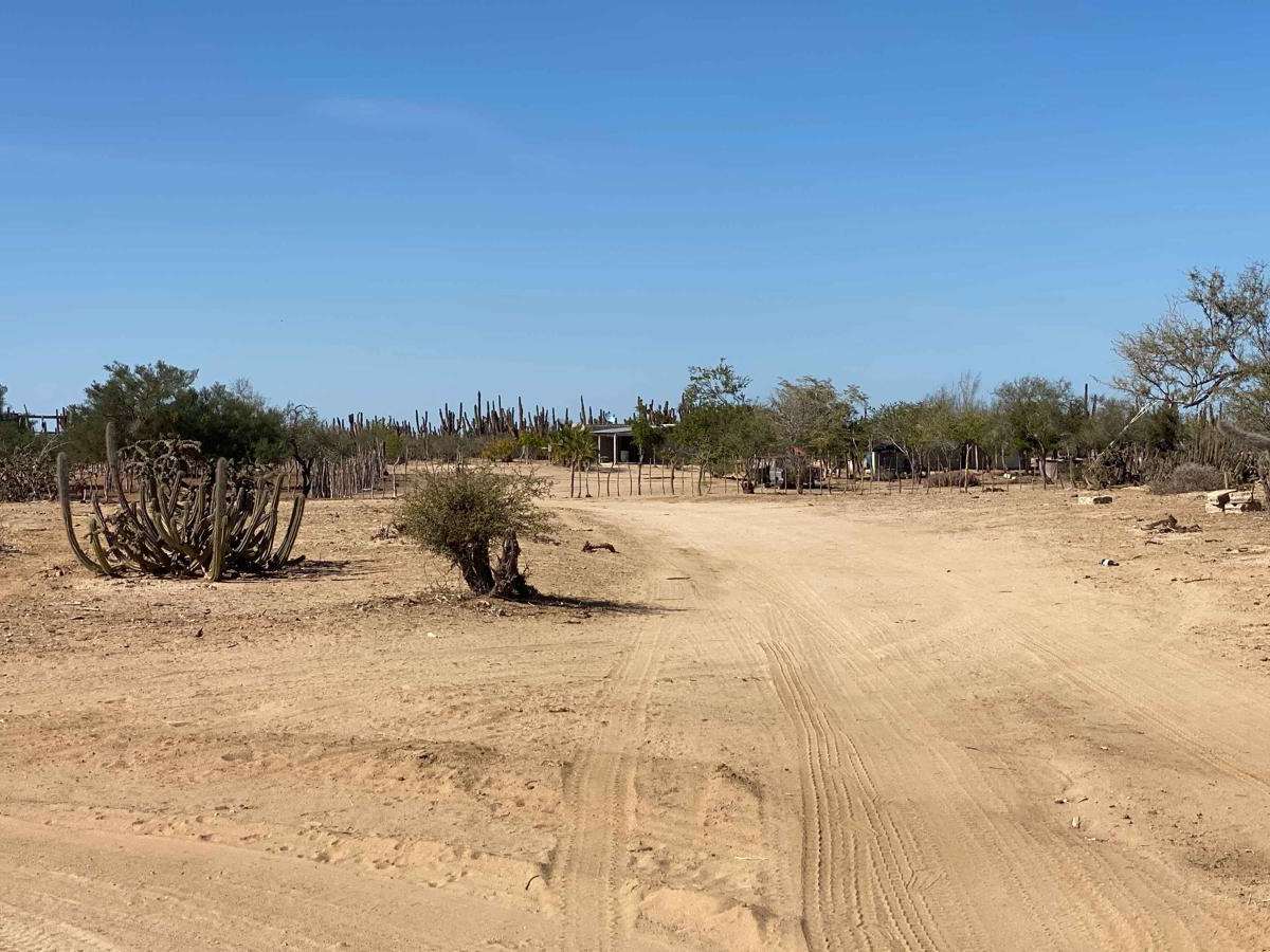 High Road Ejido Meliton photo 3