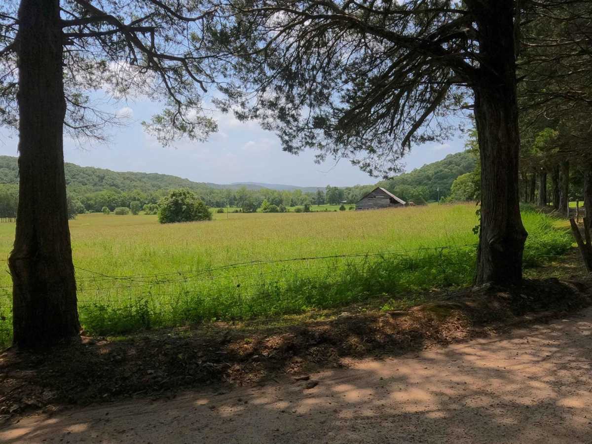 Wayne - CR 302 photo 5