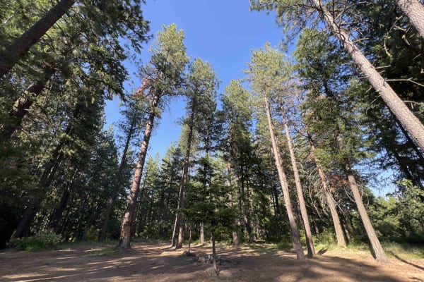 Rock Creek - 4811
