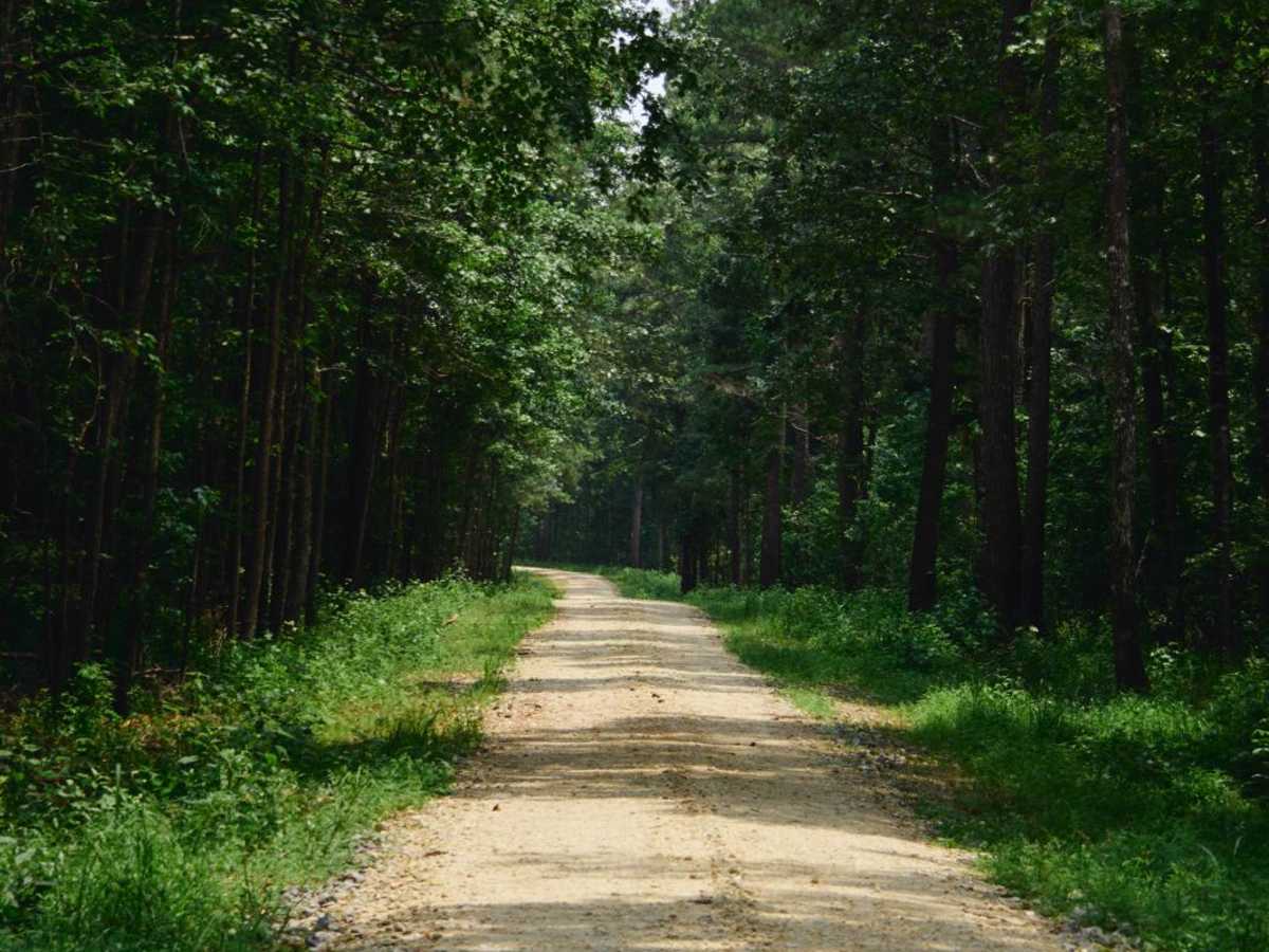 Santee Bluff - FSR 150 photo 2