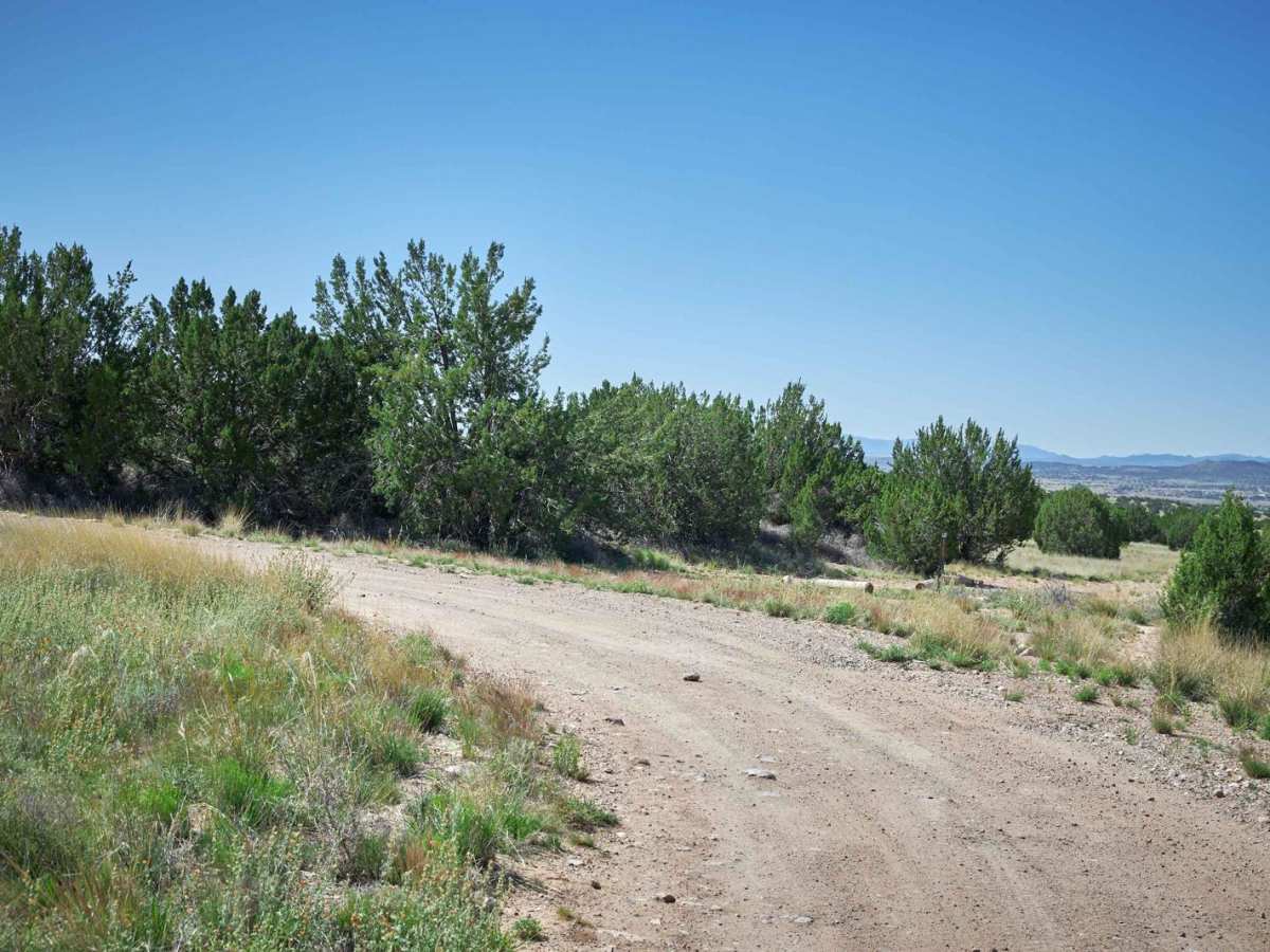 Spring Canyon photo 4