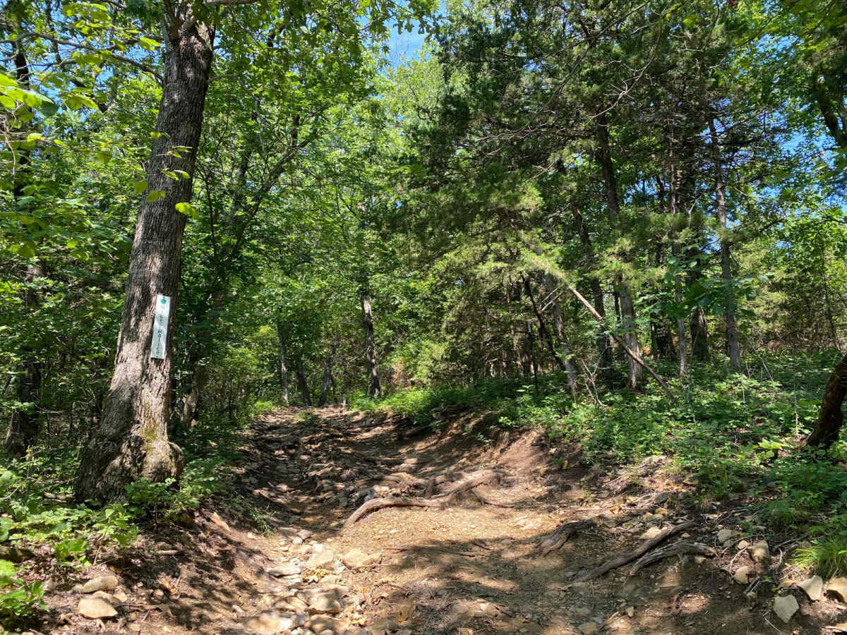 Mike's Malice trail photo