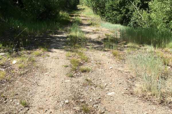 Cold Spring Hill Road