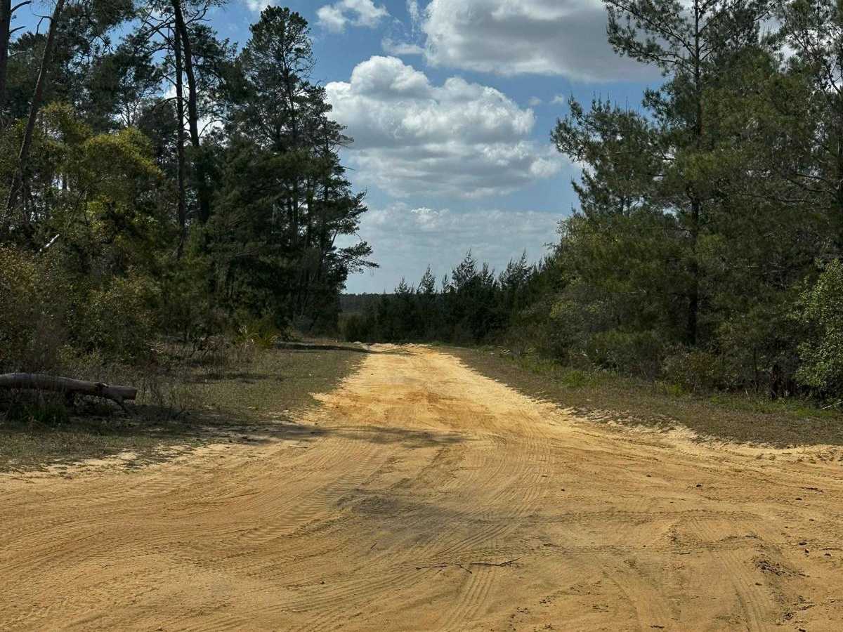 ONF Trail 5-9.0 trail photo