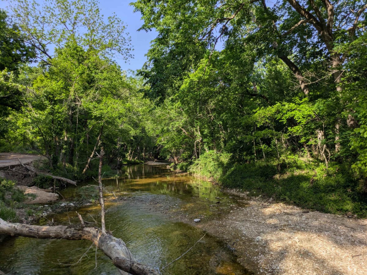 South 4430 photo 5