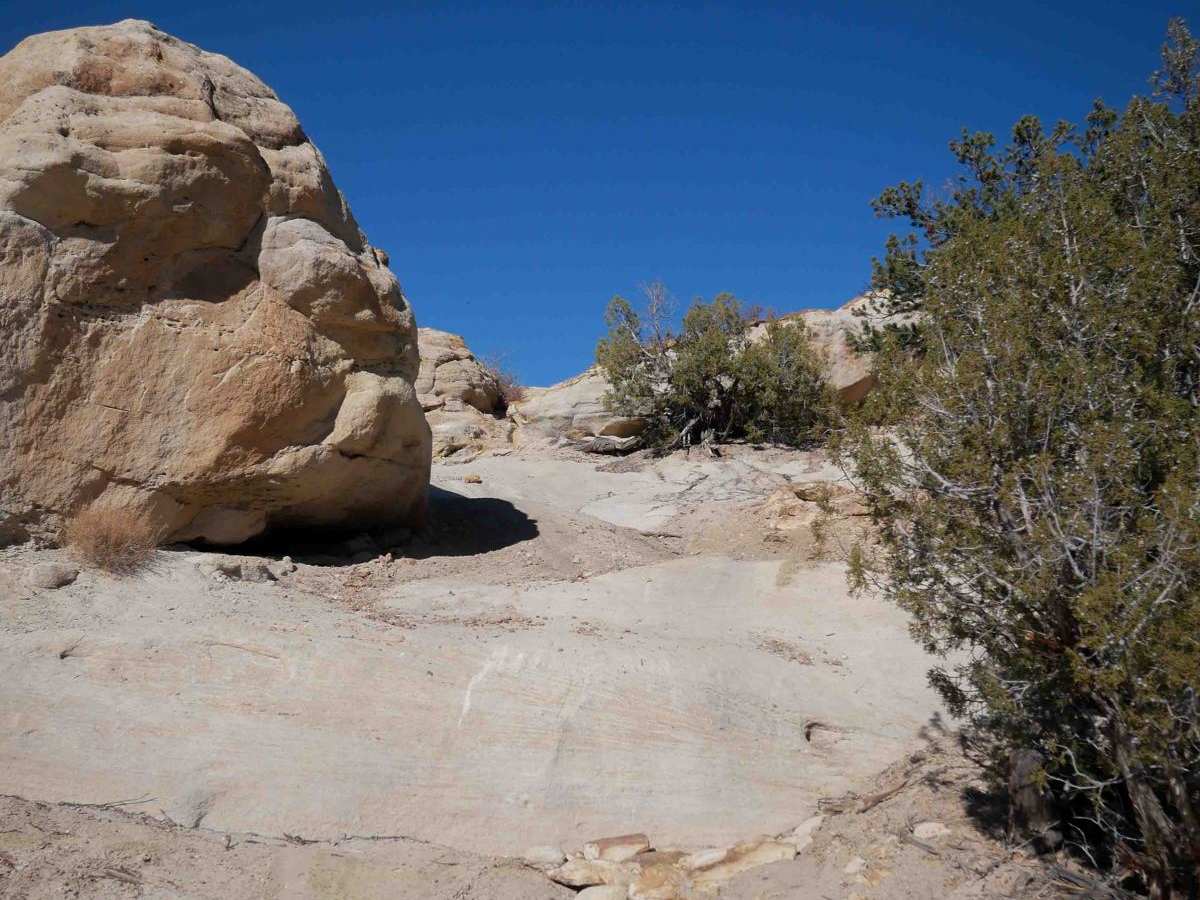 Upper Rim photo 4