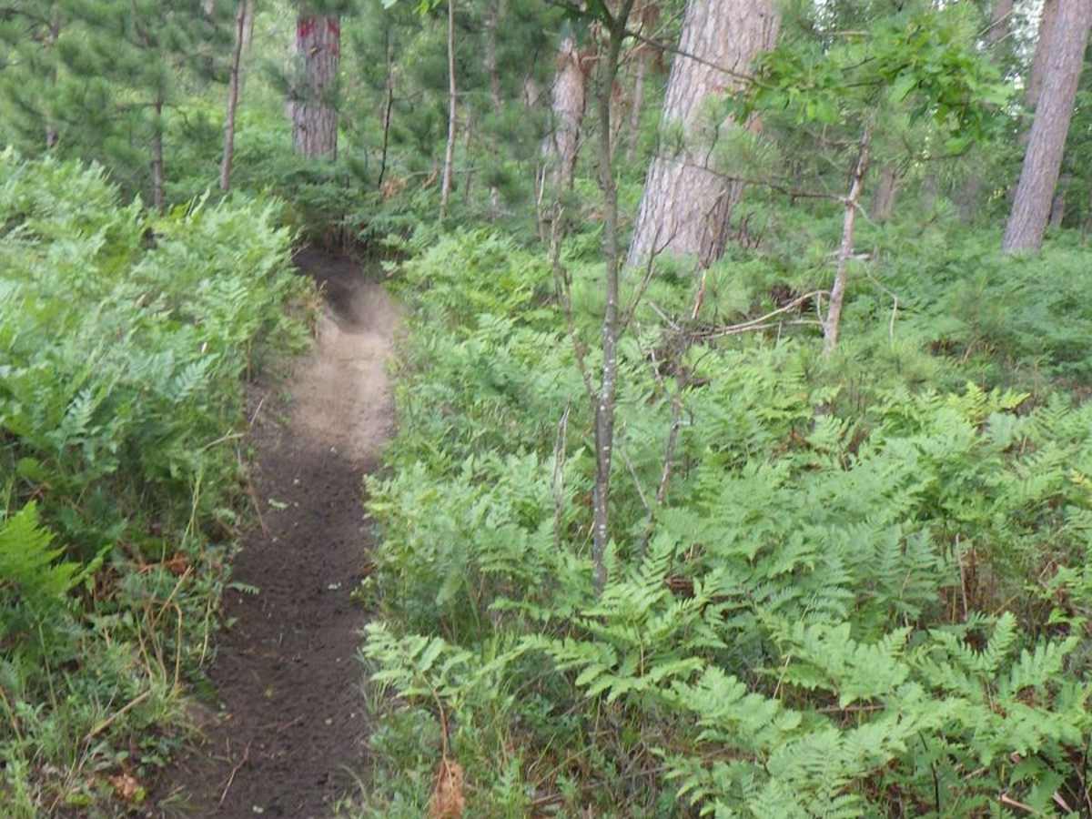 Beaver Creek - MCCCT Hero Line photo 2
