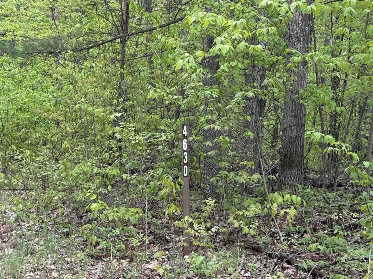 FS 4630 trail photo