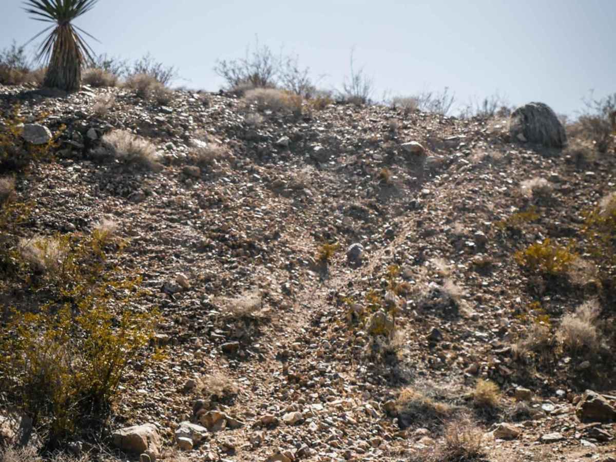 Ridge Trail photo 3