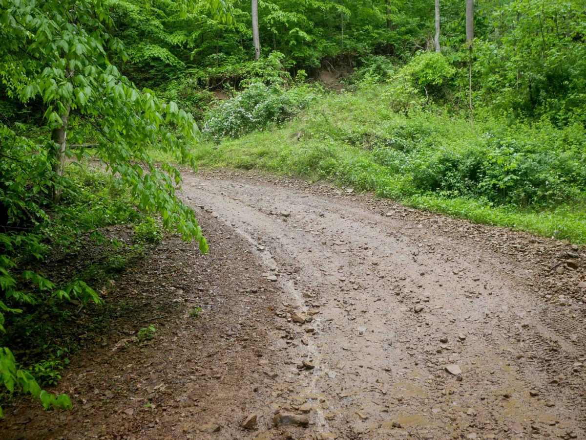 RH 11 photo 5