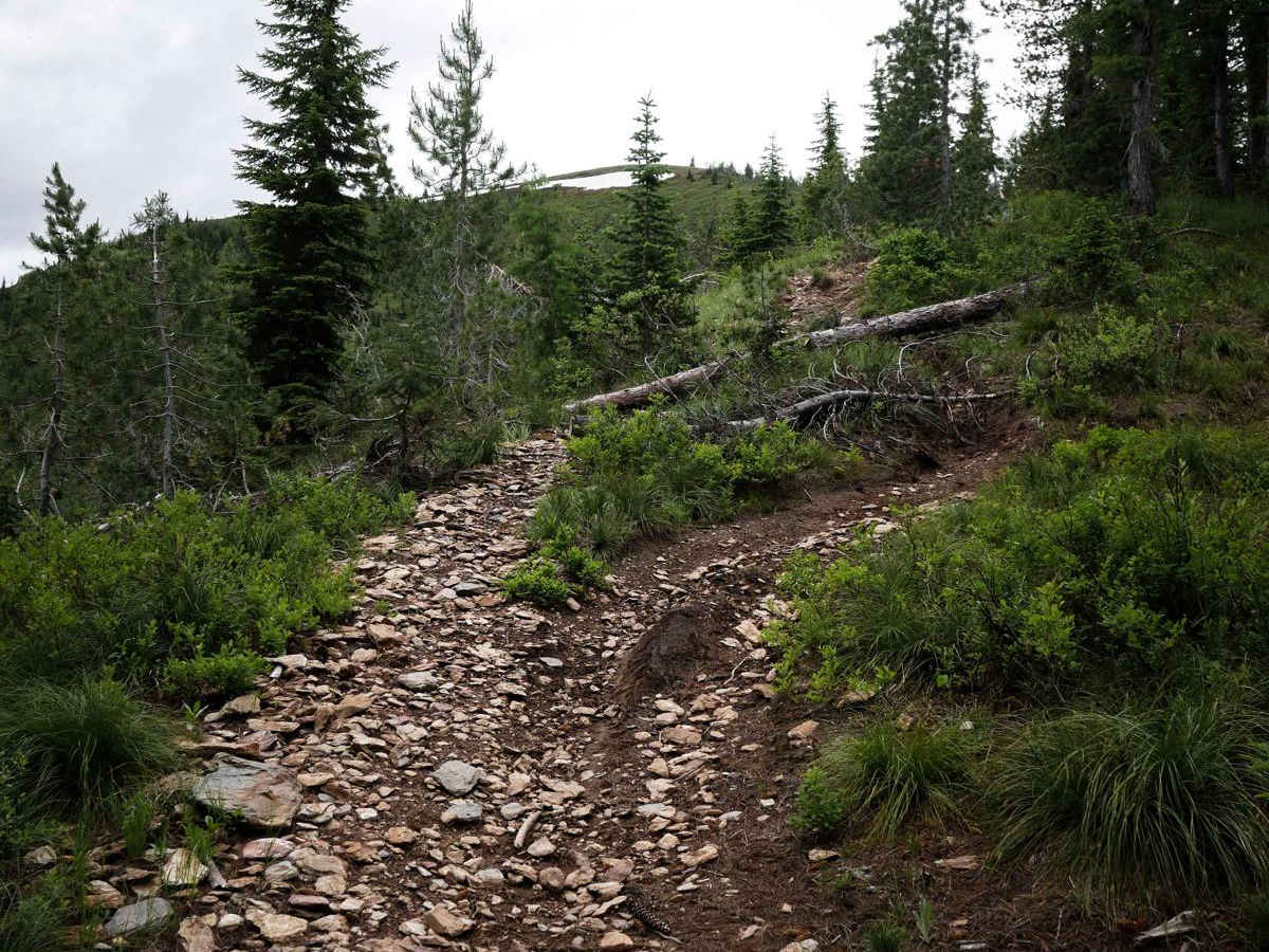 Flume Ridge ATV photo 5