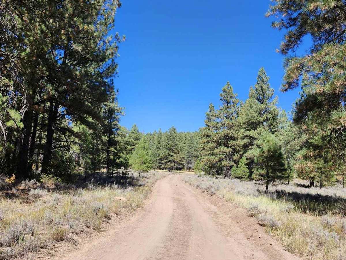 Devils Canyon Road photo 5