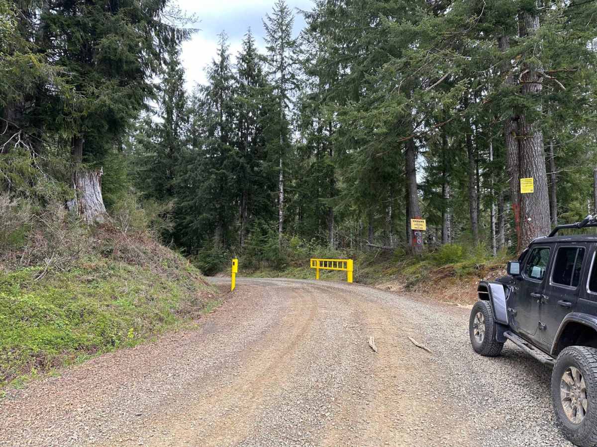 Cole Mtn Ridge trail photo
