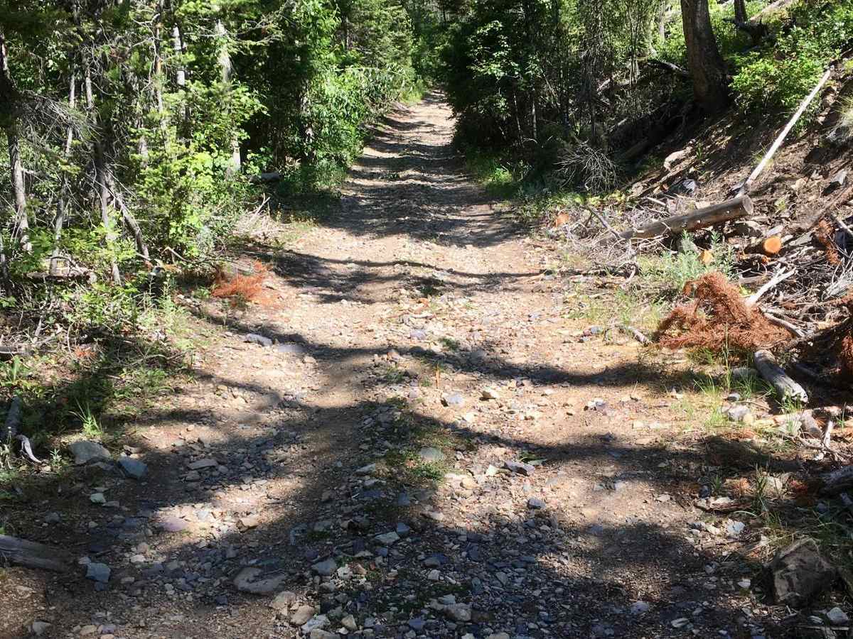 Stonewall Creek Road - FS 607E photo 4
