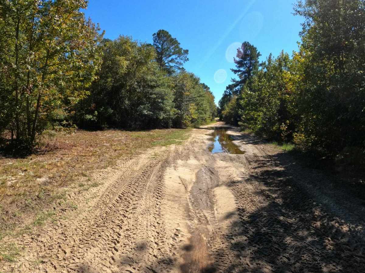Gail's Trail photo 3