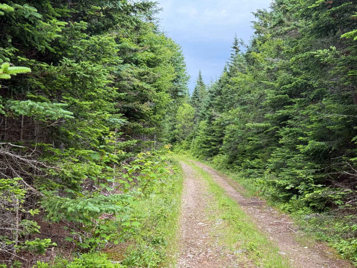 Sandy MacDonald Trail photo 6