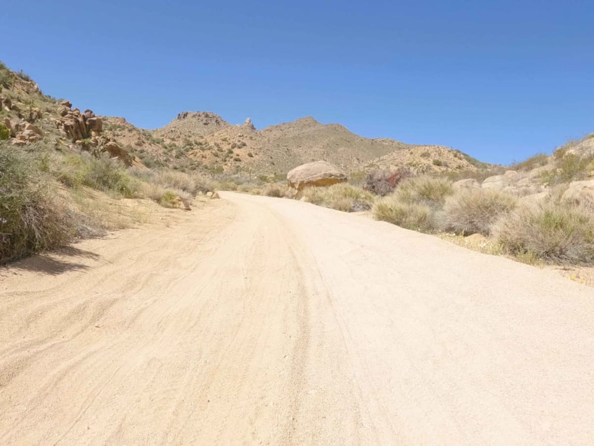 New Dixie Mine Road - BLM C2330 photo 4