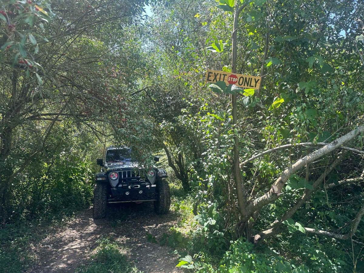 Welcome to the Jungle photo 6