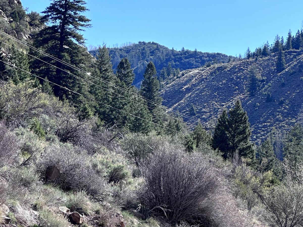 Bruin Point photo 3