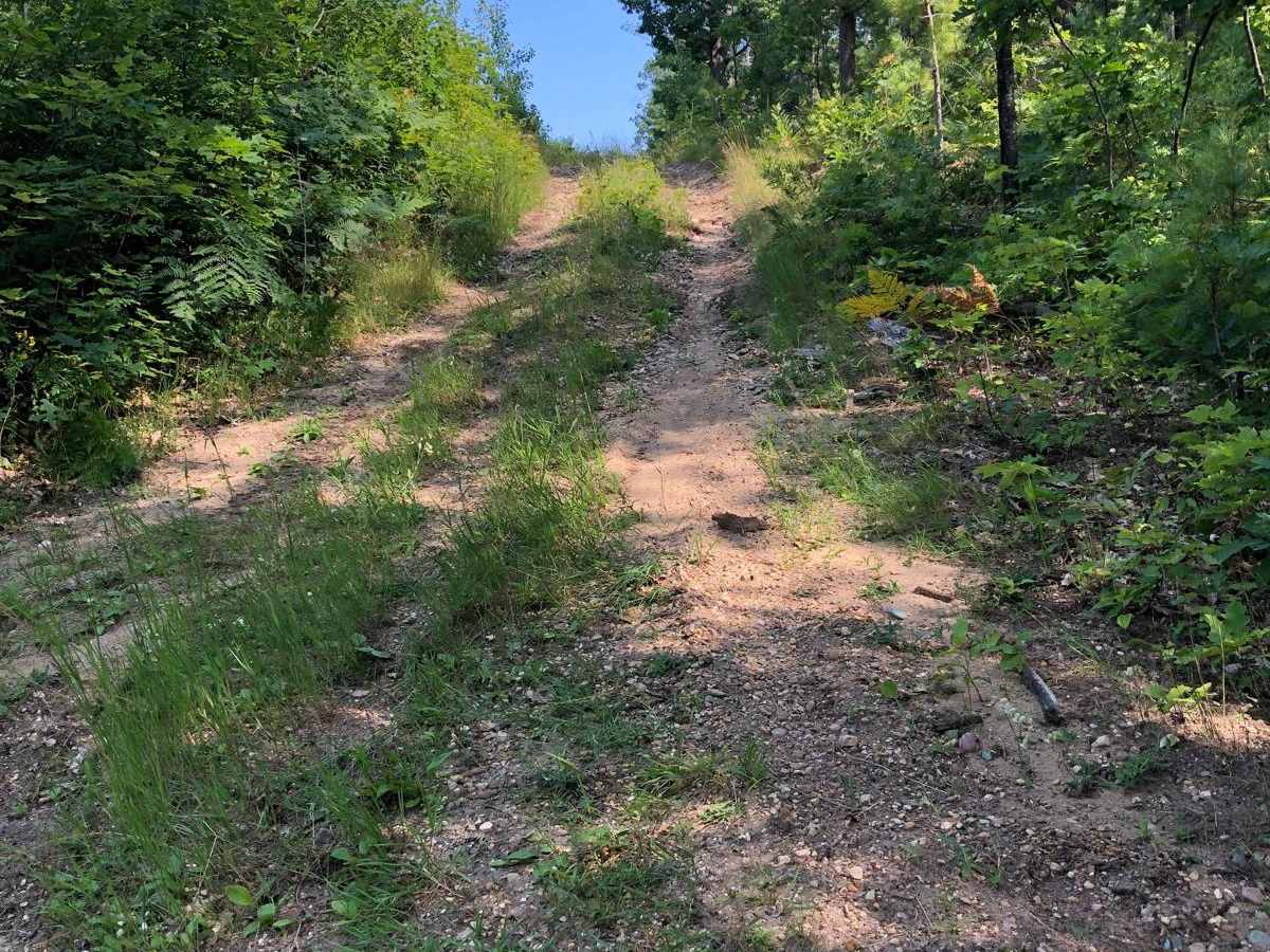 What Trail? photo 2