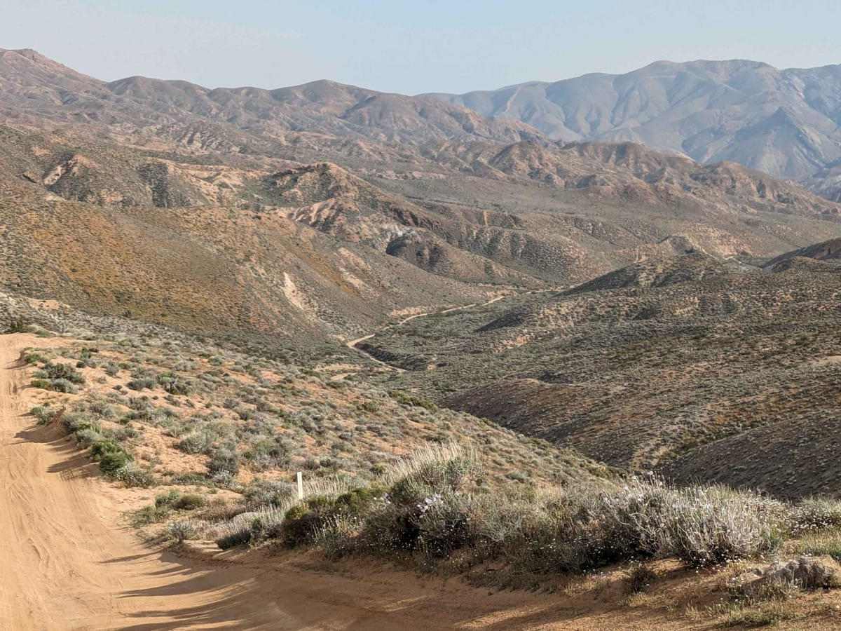 SC176 Gold Canyon Road photo 5