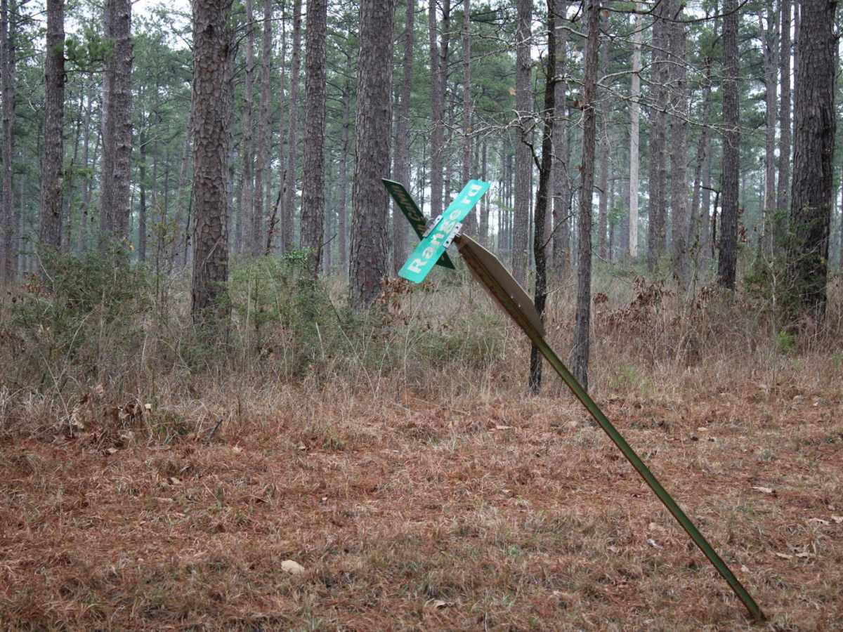 Gum Springs Campground photo 4