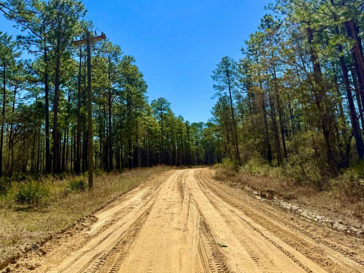 Otter Camp Road - FS 344 photo 5
