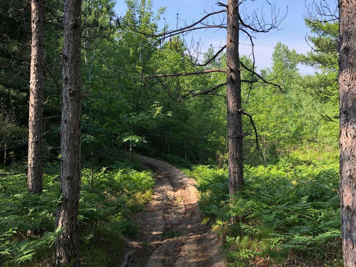 North Missaukee Trail - 14478 & 14167 trail photo