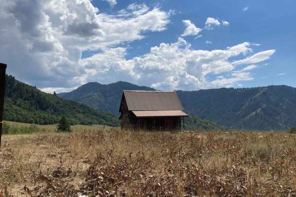 Birch Creek Road 407