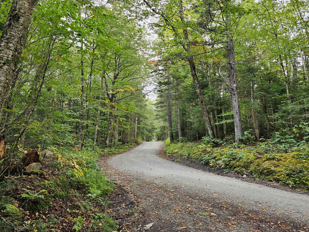 Jefferson Notch Road photo 5