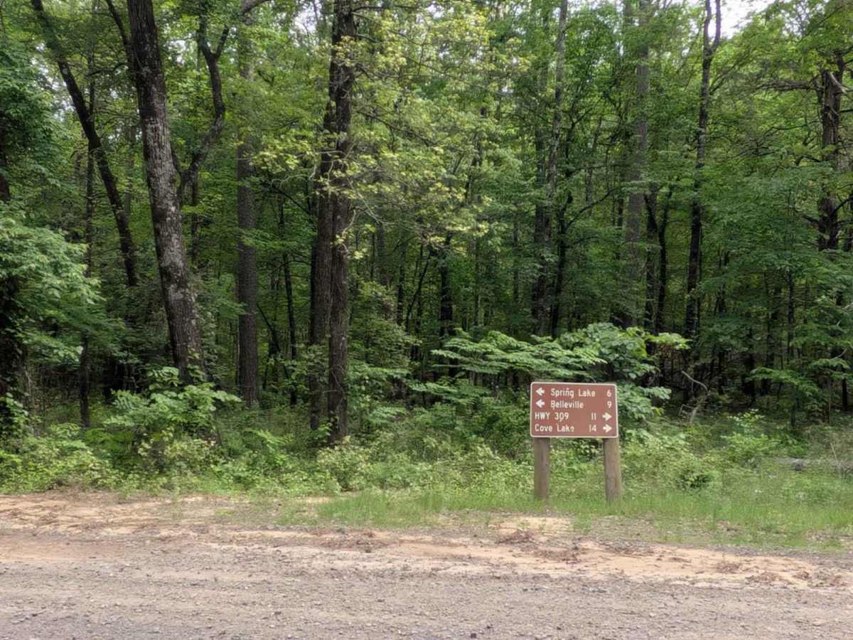 Spring Lake Access Road photo 5