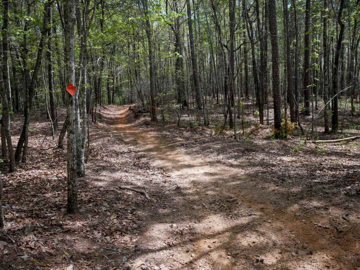 Sally Free Trail J photo 5