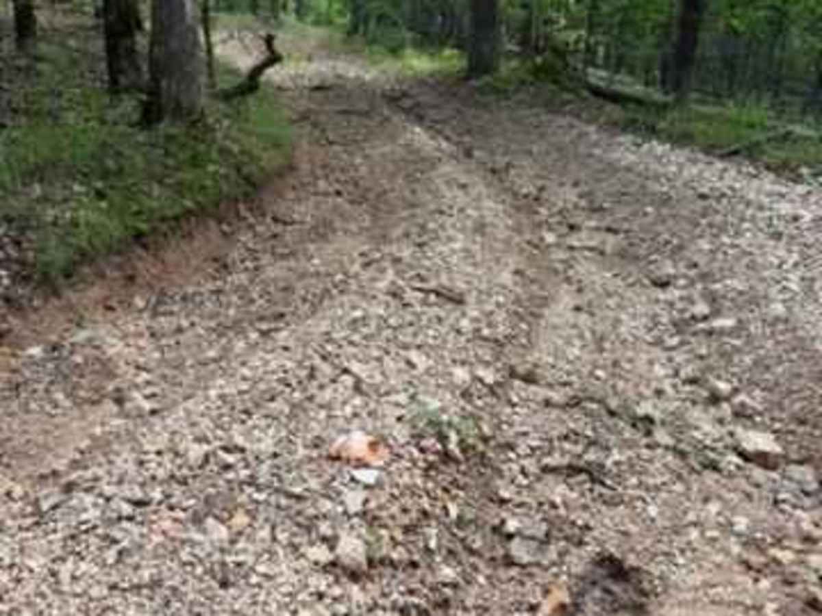 Whitley's Trail trail photo