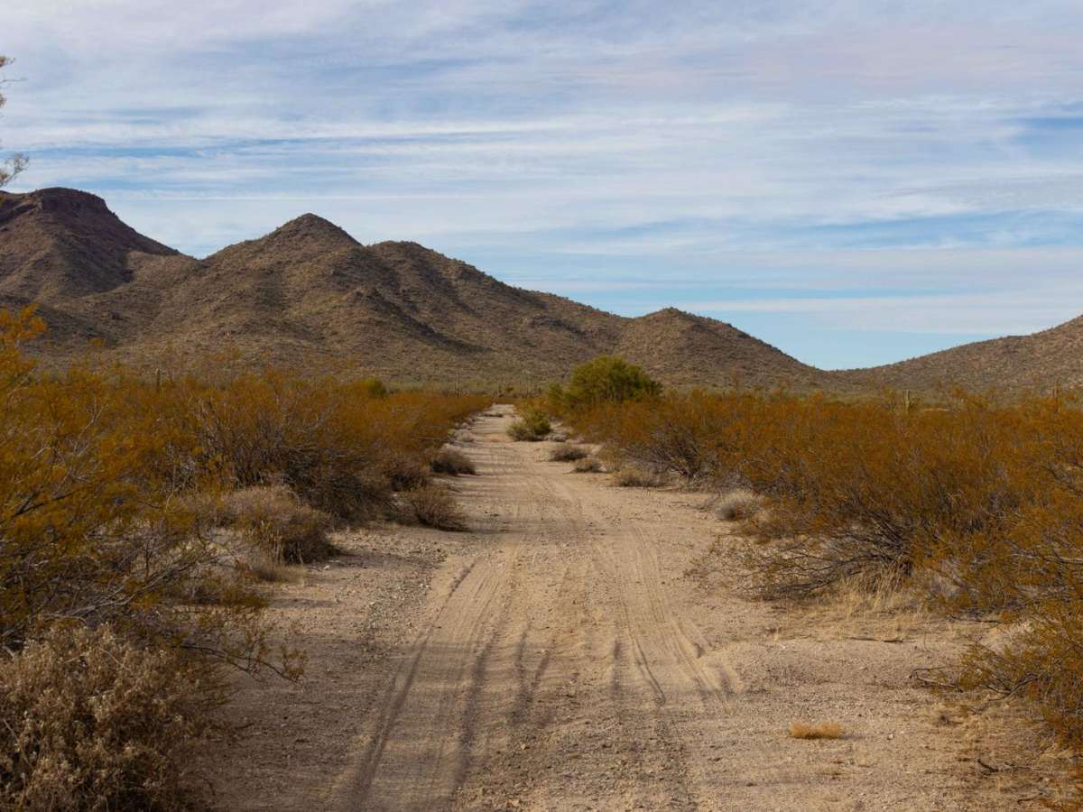 Creosotes Revenge photo 2