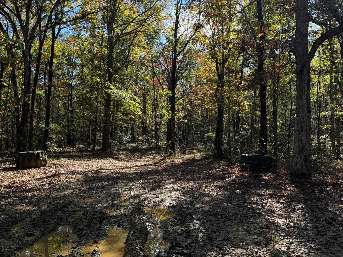 #81 Ridgeline Trail trail photo