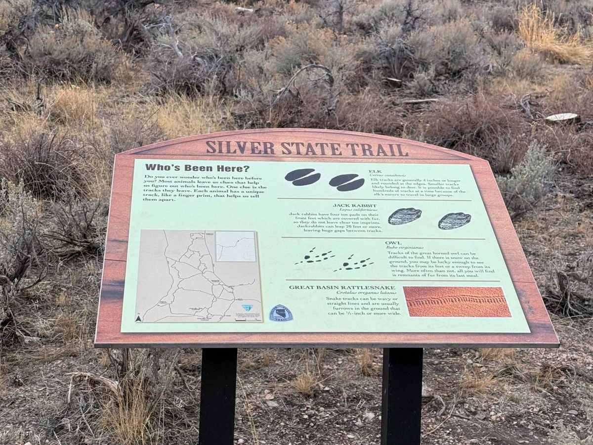 Patterson Pass Loop photo 6