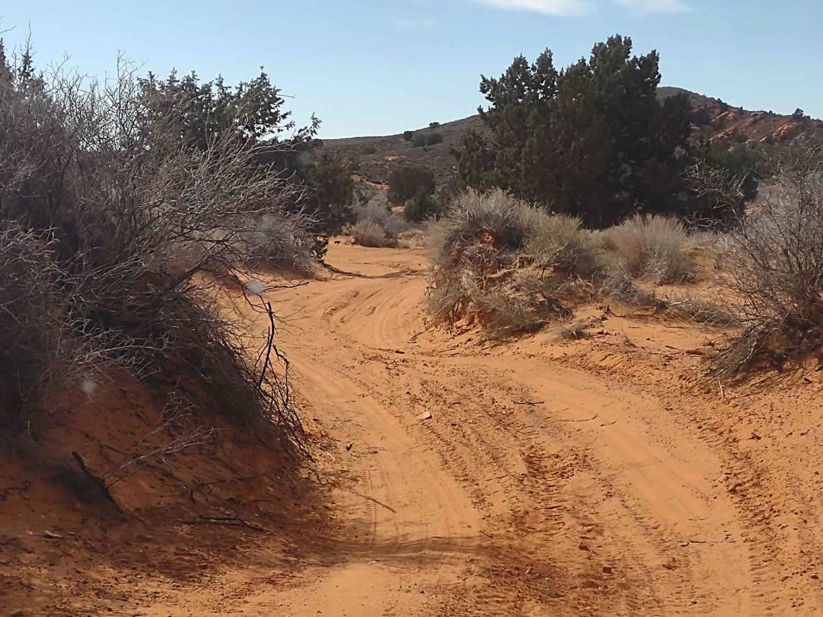 Northeast Access Red Cliffs Rec Area trail photo