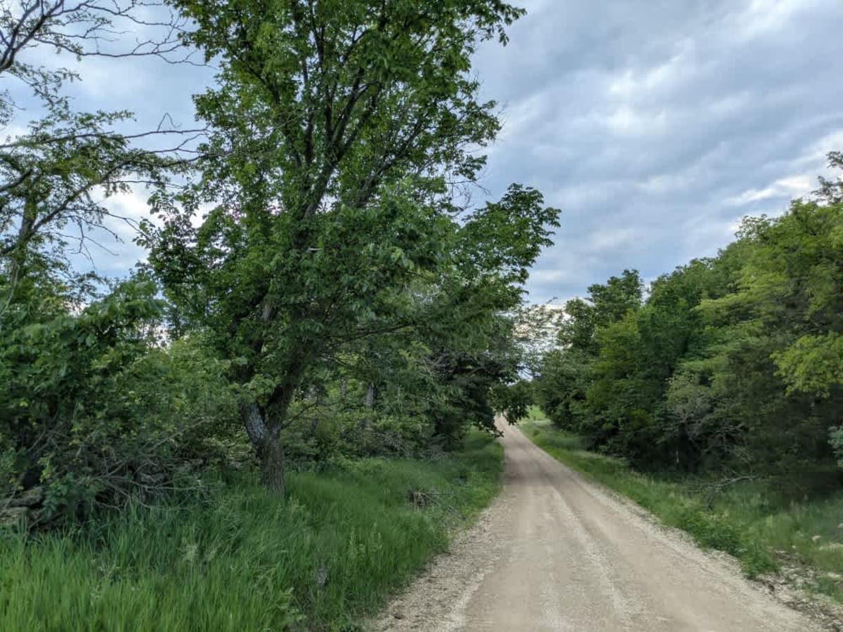Neahring Ranch photo 5