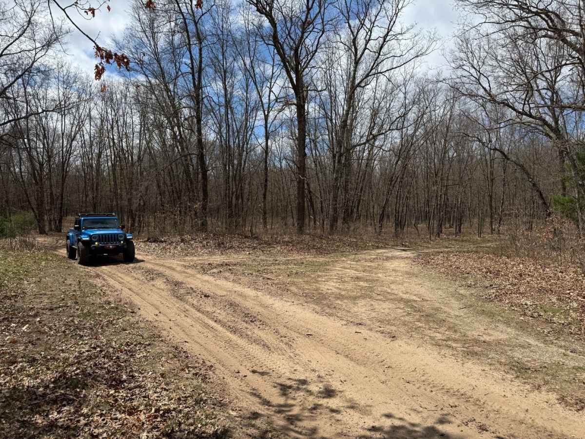 NFS 5485 photo 3