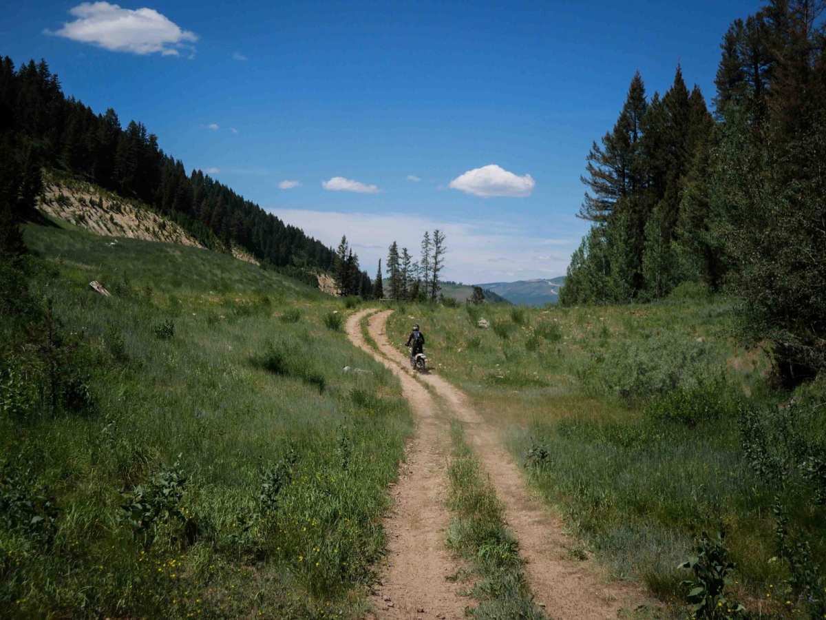 Cold Springs/Upper Dry Valley #5206 photo 2